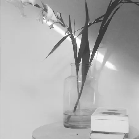 Studio13